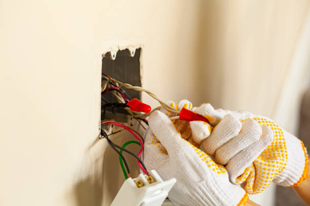 Best Electrical Panel Upgrades  in Mayflower, AR